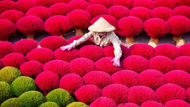 Làng hương Quảng Phú Cầu tất bật vào vụ Tết